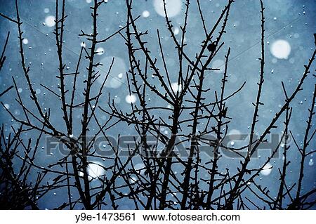 snowstorm at night View Large Photo Image Stock Image - snowstorm at night. Fotosearch
