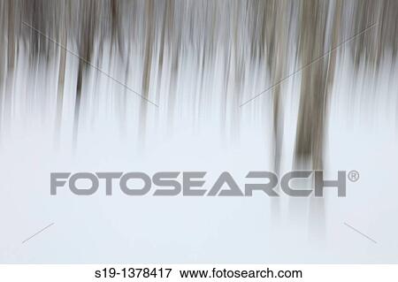 Snowy landscape, Hokkaido, Japan View Large Photo Image Stock Photo - Snowy landscape, Hokkaido, Japan. Fotosearch