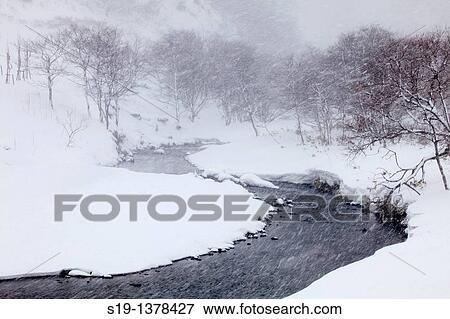 Snowy landscape, Hokkaido, Japan View Large Photo Image Stock Photo - Snowy landscape, Hokkaido, Japan. Fotosearch