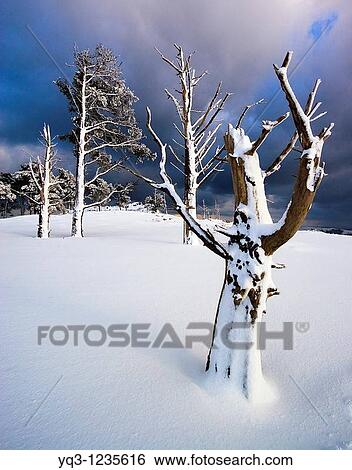 Snowy landscape, Monte Cerredo, Castro Urdiales, Cantabria, Spain. View Large Photo Image Stock Photograph - Snowy landscape, Monte Cerredo, Castro Urdiales, Cantabria, Spain.. Fotosearch