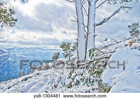 Snowy landscape, Serra de Tramuntana, Majorca, Balearic Islands, Spain View Large Photo Image Stock Image - Snowy landscape, Serra de Tramuntana, Majorca, Balearic Islands, Spain. Fotosearch