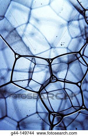 Soap bubbles View Large Photo Image Picture - Soap bubbles. Fotosearch