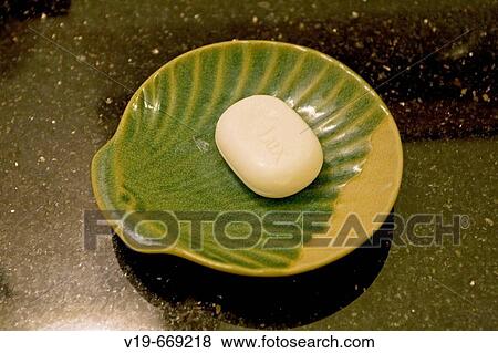Soap, sheel, Maldives, Indian Ocean View Large Photo Image Stock Photo - Soap, sheel, Maldives, Indian Ocean. Fotosearch