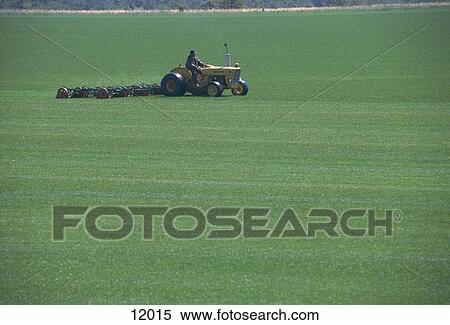 Sod farm View Large Photo Image Stock Photography - Sod farm. Fotosearch