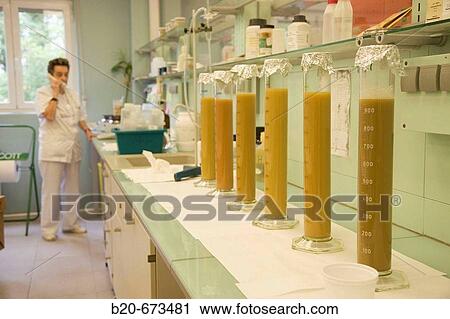 Stock Image - Soil samples, Laboratory of Agri-Environmental Safety, Departamento de Agrosistemas y Recursos Naturales, Neiker Tecnalia, Instituto de Investigaci? n y Desarrollo Agrario, Ganadero, Forestal y del Medio Natural, Derio, Bizkaia, Euskadi, Spain. Fotosearch