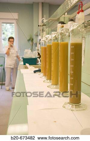 Soil samples, Laboratory of Agri-Environmental Safety, Departamento de Agrosistemas y Recursos Naturales, Neiker Tecnalia, Instituto de Investigaci? n y Desarrollo Agrario, Ganadero, Forestal y del Medio Natural, Derio, Bizkaia, Euskadi, Spain View Large Photo Image Stock Image - Soil samples, Laboratory of Agri-Environmental Safety, Departamento de Agrosistemas y Recursos Naturales, Neiker Tecnalia, Instituto de Investigaci? n y Desarrollo Agrario, Ganadero, Forestal y del Medio Natural, Derio, Bizkaia, Euskadi, Spain. Fotosearch