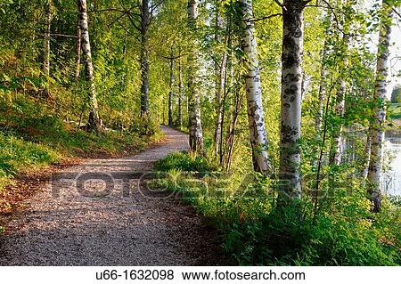 Stock Photo - Solleron Dalarna Sweden.. Fotosearch