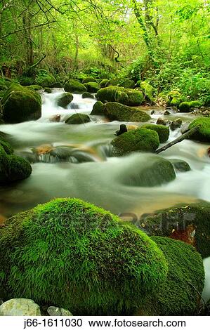 Somiedo river in Pola de Somiedo Somiedo Natural Park Asturias View Large Photo Image Stock Image - Somiedo river in Pola de Somiedo Somiedo Natural Park Asturias. Fotosearch