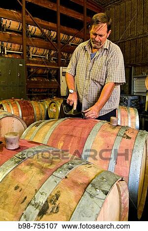 Sonoma, California, Sebastiani Winery, sampling wine from barrel View Large Photo Image Stock Photo - Sonoma, California, Sebastiani Winery, sampling wine from barrel. Fotosearch