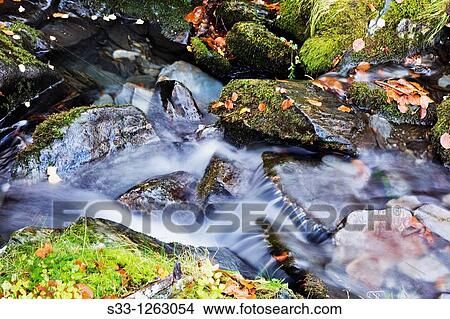 Picture - Sorbe river Sierra Norte Guadalajara Castilla la Mancha Spain. Fotosearch