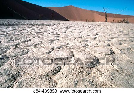 Sossusvlei Dunes. Namib desert. Namibia View Large Photo Image Stock Image - Sossusvlei Dunes. Namib desert. Namibia. Fotosearch