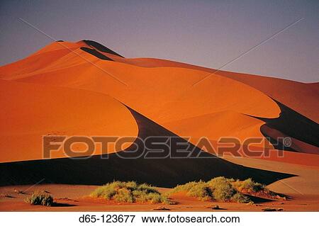 Sossusvlei, Namib-Naukluft National Park. Namib desert, Namibia View Large Photo Image Stock Photo - Sossusvlei, Namib-Naukluft National Park. Namib desert, Namibia. Fotosearch