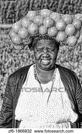 South Africa African portrait Garden Route View Large Photo Image Stock Image - South Africa African portrait Garden Route. Fotosearch