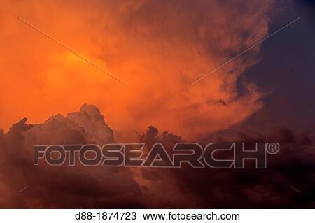 South America, Brazil, Amazonas state, Manaus, Amazon river basin, along Rio, sunset View Large Photo Image Stock Image - South America, Brazil, Amazonas state, Manaus, Amazon river basin, along Rio, sunset. Fotosearch