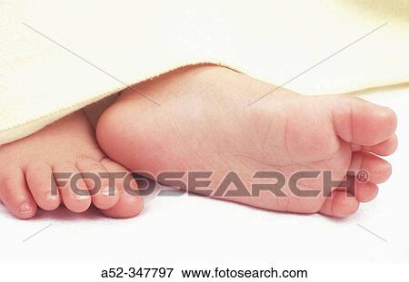 South Asian sleeping babies legs View Large Photo Image Stock Photo - South Asian sleeping babies legs. Fotosearch