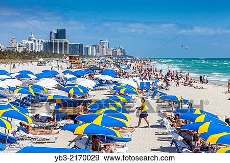 South Beach and City Skyline, Miami, Florida, USA. View Large Photo Image Stock Photo - South Beach and City Skyline, Miami, Florida, USA.. Fotosearch