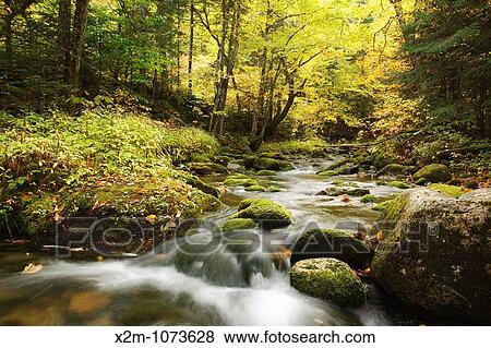 South Branch of the Israel River during the autumn months which runs along Jefferson Notch Road in the White Mountains, New Hampshire USA View Large Photo Image Stock Photo - South Branch of the Israel River during the autumn months which runs along Jefferson Notch Road in the White Mountains, New Hampshire USA. Fotosearch
