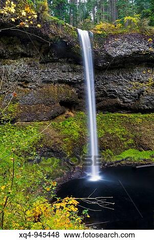 South Falls in autumn, Silver Falls State Park, Oregon, USA View Large Photo Image Stock Photo - South Falls in autumn, Silver Falls State Park, Oregon, USA. Fotosearch