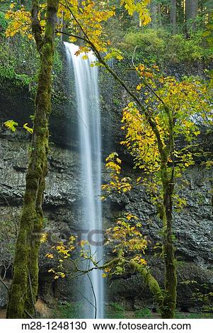 South Falls, Silver Falls State Park Oregon View Large Photo Image Stock Image - South Falls, Silver Falls State Park Oregon. Fotosearch