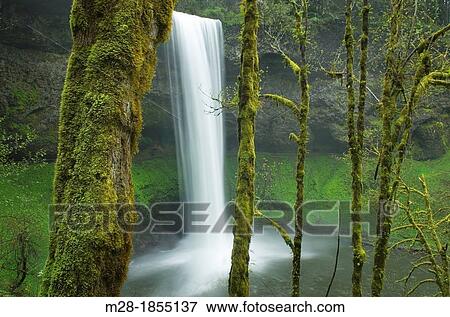 South Falls, Silver Falls State Park, Oregon View Large Photo Image Stock Photo - South Falls, Silver Falls State Park, Oregon. Fotosearch