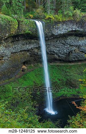 Stock Photography - South Falls, Silver Falls State Park Oregon. Fotosearch