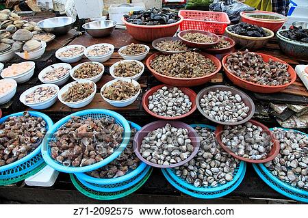 South Korea, Busan, Jagalchi Fish Market,. View Large Photo Image Stock Photography - South Korea, Busan, Jagalchi Fish Market,.. Fotosearch