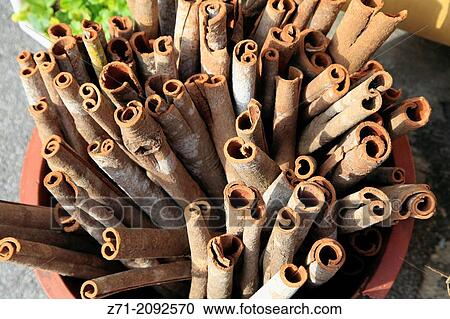 South Korea, Busan, Jagalchi Market, cinnamon,. View Large Photo Image Stock Image - South Korea, Busan, Jagalchi Market, cinnamon,.. Fotosearch