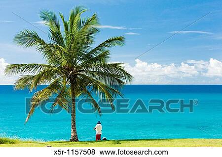 Southern coast of Barbados, Caribbean View Large Photo Image Stock Photo - Southern coast of Barbados, Caribbean. Fotosearch