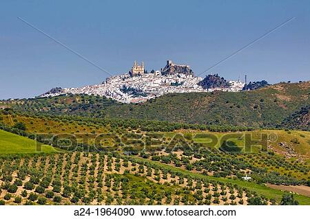 Spain, Andalucia Region, Cadiz Province, Olvera City. View Large Photo Image Stock Image - Spain, Andalucia Region, Cadiz Province, Olvera City.. Fotosearch