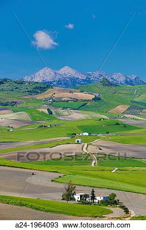 Spain, Andalucia Region, Cadiz Province, near Ronda City. View Large Photo Image Stock Image - Spain, Andalucia Region, Cadiz Province, near Ronda City.. Fotosearch