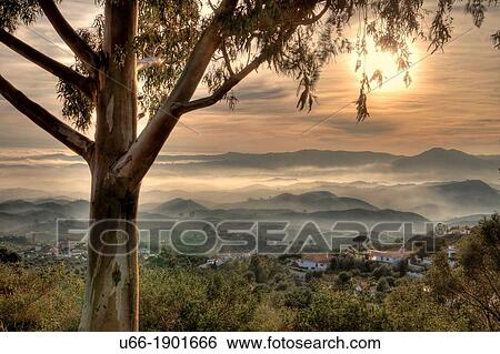 Stock Photograph - Spain, Andalusia, Malaga province, Costa del Sol, Valtocado, Scenic landscape. Fotosearch