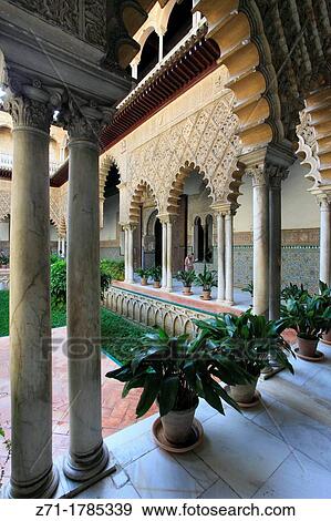 Spain, Andalusia, Seville, Alcazar, Patio de la las Doncellas, View Large Photo Image Stock Photo - Spain, Andalusia, Seville, Alcazar, Patio de la las Doncellas,. Fotosearch