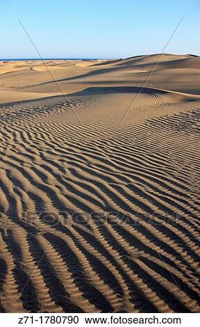 Stock Image - Spain, Canary Islands, Gran Canaria, Maspalomas, sand dunes,. Fotosearch