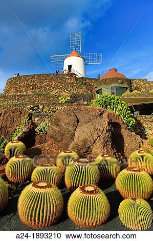 Spain, Canary Islands, Lanzarote Island, Cactus Garden, GuatizaCity View Large Photo Image Stock Image - Spain, Canary Islands, Lanzarote Island, Cactus Garden, GuatizaCity. Fotosearch
