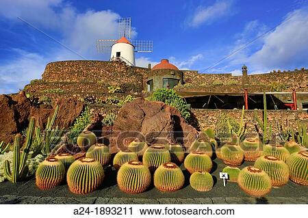 Spain, Canary Islands, Lanzarote Island, Cactus Garden, GuatizaCity View Large Photo Image Stock Image - Spain, Canary Islands, Lanzarote Island, Cactus Garden, GuatizaCity. Fotosearch