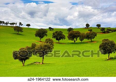 Spain, Castilla La Mancha Region, Guadalajara Province, landscape. View Large Photo Image Stock Image - Spain, Castilla La Mancha Region, Guadalajara Province, landscape.. Fotosearch