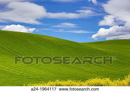 Spain, Castilla La Mancha Region, Guadalajara Province, landscape. View Large Photo Image Stock Photo - Spain, Castilla La Mancha Region, Guadalajara Province, landscape.. Fotosearch