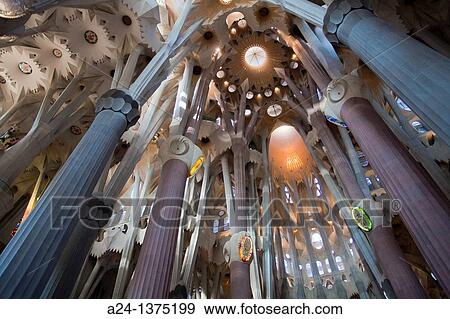 Spain, Catalonia, Barcelona City, Sagrada Familia Temple inside, Roof. View Large Photo Image Stock Photo - Spain, Catalonia, Barcelona City, Sagrada Familia Temple inside, Roof.. Fotosearch