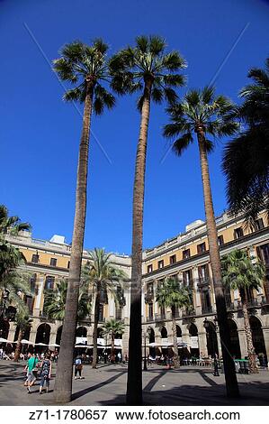 Spain, Catalonia, Barcelona, Placa Reial, View Large Photo Image Stock Photo - Spain, Catalonia, Barcelona, Placa Reial,. Fotosearch