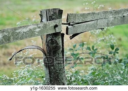 Stock Photography - Spain, Catalonia, Girona, Banyoles, Artiga lagoon, wood fence, texture. Fotosearch