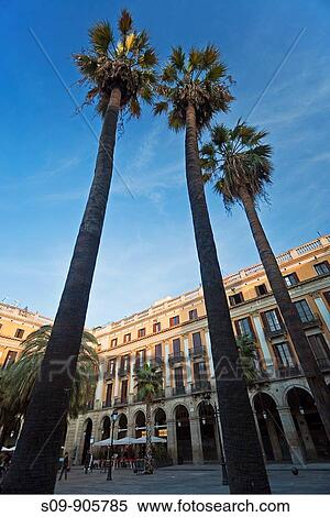 Spain, Cataluna, Barcelona, Ciutat Vella, Placa Reial and 3 palm trees View Large Photo Image Stock Photography - Spain, Cataluna, Barcelona, Ciutat Vella, Placa Reial and 3 palm trees. Fotosearch