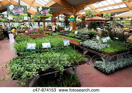 Stock Image - Spain, Mataro, Barcelona province, Garden Center Jardiland. Fotosearch