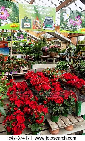 Spain, Mataro, Barcelona province, Garden Center Jardiland View Large Photo Image Stock Image - Spain, Mataro, Barcelona province, Garden Center Jardiland. Fotosearch