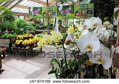 Spain, Mataro, Barcelona province, Garden Center View Large Photo Image Stock Photograph - Spain, Mataro, Barcelona province, Garden Center. Fotosearch