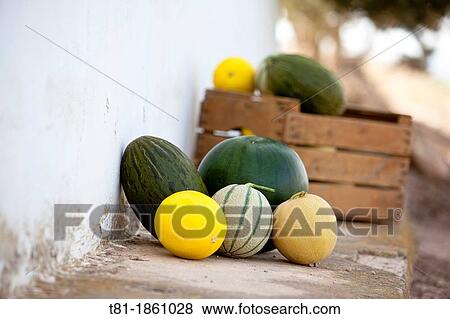 Spain, Murcia, Melons Sitting by Wall View Large Photo Image Stock Photo - Spain, Murcia, Melons Sitting by Wall. Fotosearch