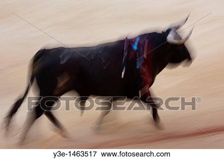 Spain Navarra Pamplona San Fermin Fiesta Plaza de Toros Bullfight View Large Photo Image Stock Photo - Spain Navarra Pamplona San Fermin Fiesta Plaza de Toros Bullfight. Fotosearch