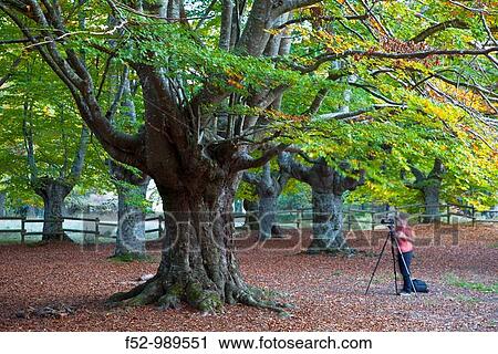 Spain View Large Photo Image Stock Image - Spain. Fotosearch