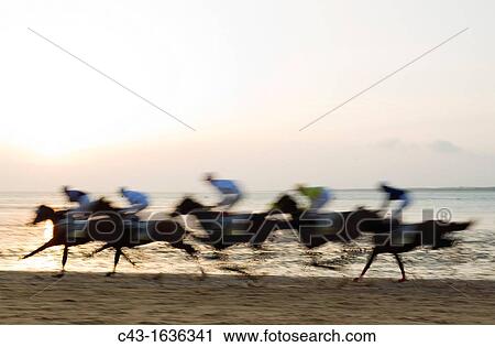 Spain - The famous horse races of Sanlucar de Barrameda take place every year during August along a 1 800m stretch of beach at the mouth of the River Guadalquivir View Large Photo Image Stock Image - Spain - The famous horse races of Sanlucar de Barrameda take place every year during August along a 1 800m stretch of beach at the mouth of the River Guadalquivir. Fotosearch