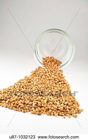 Stock Image - Spices, Coriander seeds. Fotosearch