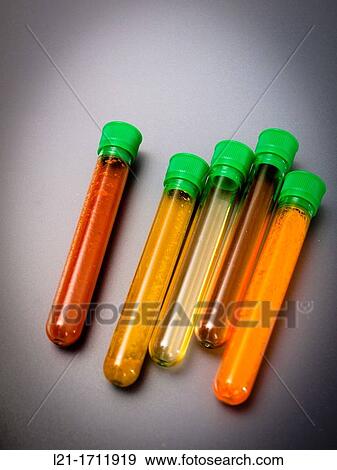 Spices inside test tubes to analyze. View Large Photo Image Stock Photo - Spices inside test tubes to analyze.. Fotosearch